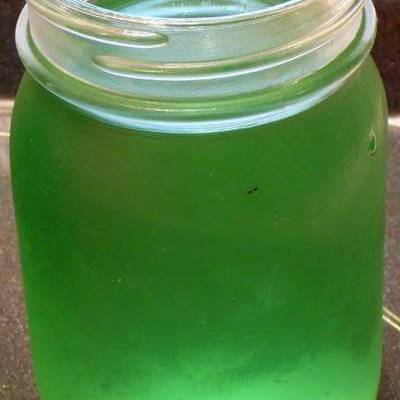 Green Apple Moonshine Mash Recipe Home Alqu