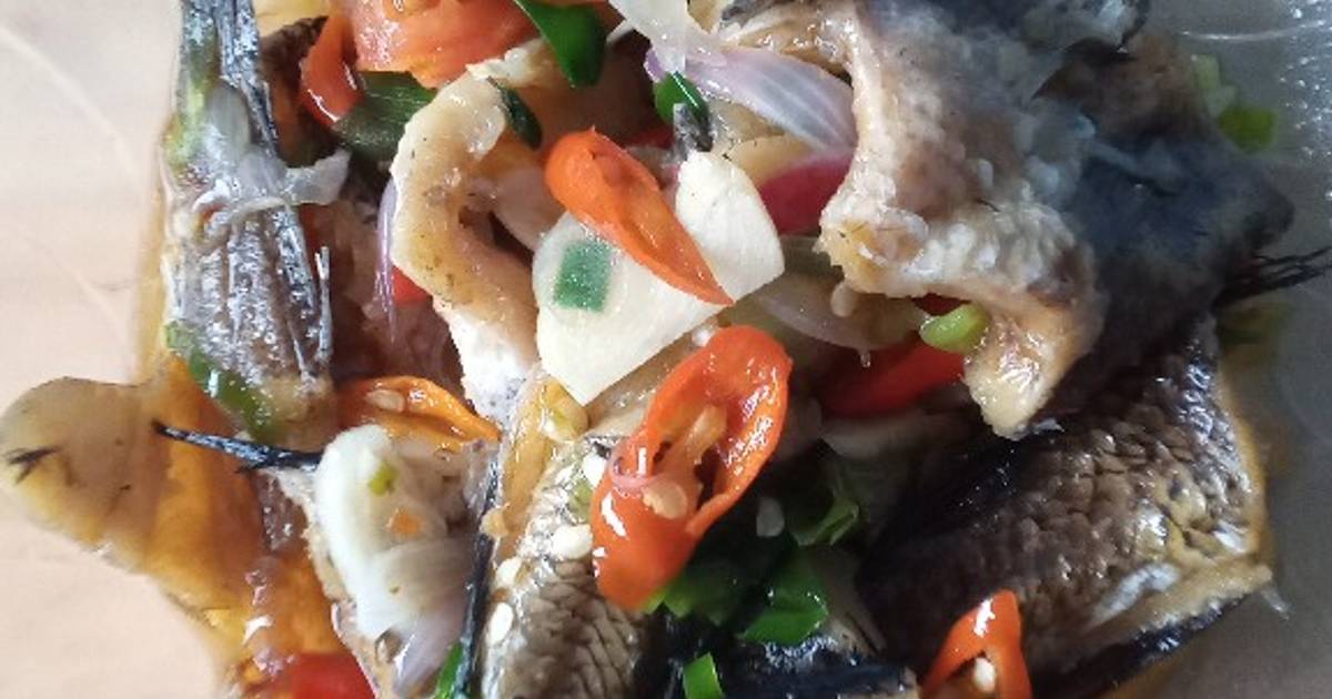 Resep Tim Ikan Asin Gabus Pedas Oleh Mama SYAFIQ Cookpad