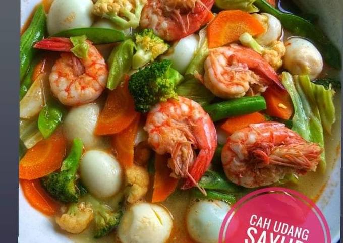 Resep Capcay Kuah Spesial Oleh Kiky Kusuma Cookpad