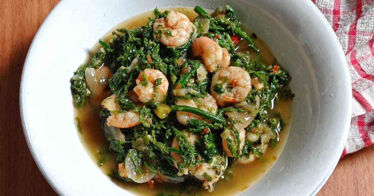 126 Resep Tumis Pakis Pedas Udang Enak Dan Mudah Cookpad