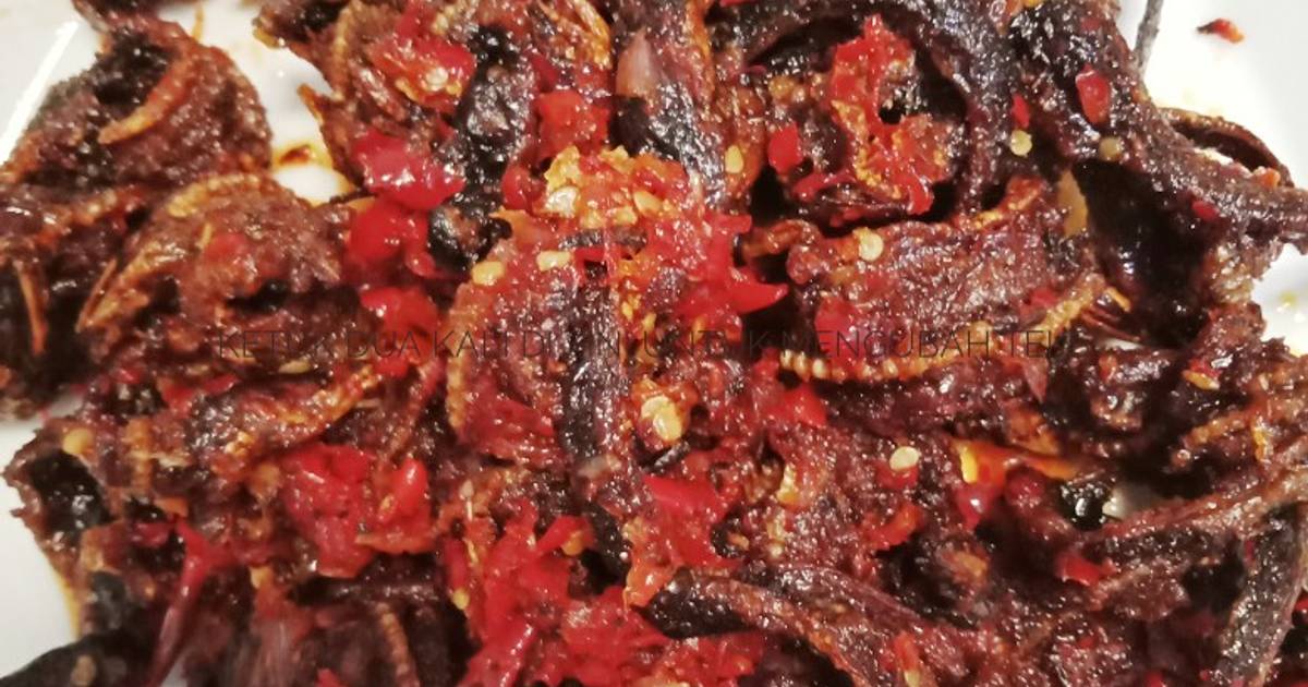 Resep Sambal Belut Kriuk Oleh Dwi Abib Cookpad