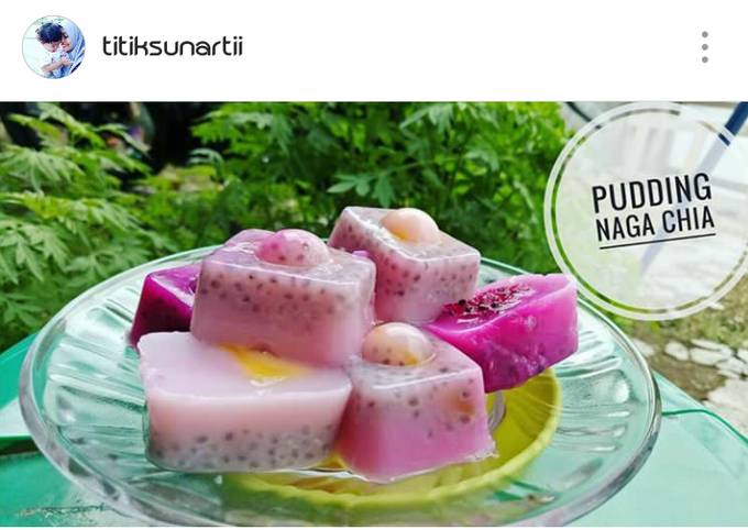 Resep Pudding Naga Chia Seed Oleh Titik Sunartii Cookpad