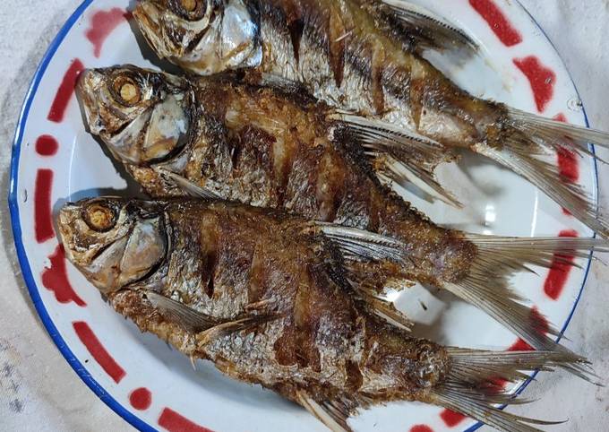 Resep Ikan Repang Goreng Oleh Widjie Astuti Cookpad