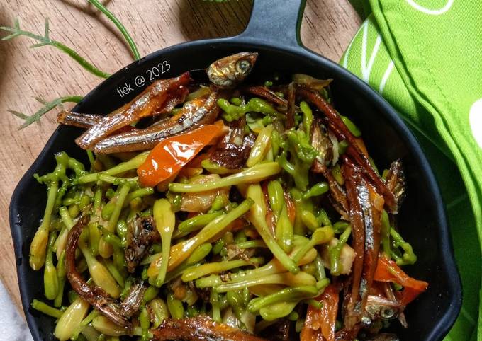 Resep Tumis Teri Bunga Pepaya Oleh Titiek Purnomo Cookpad