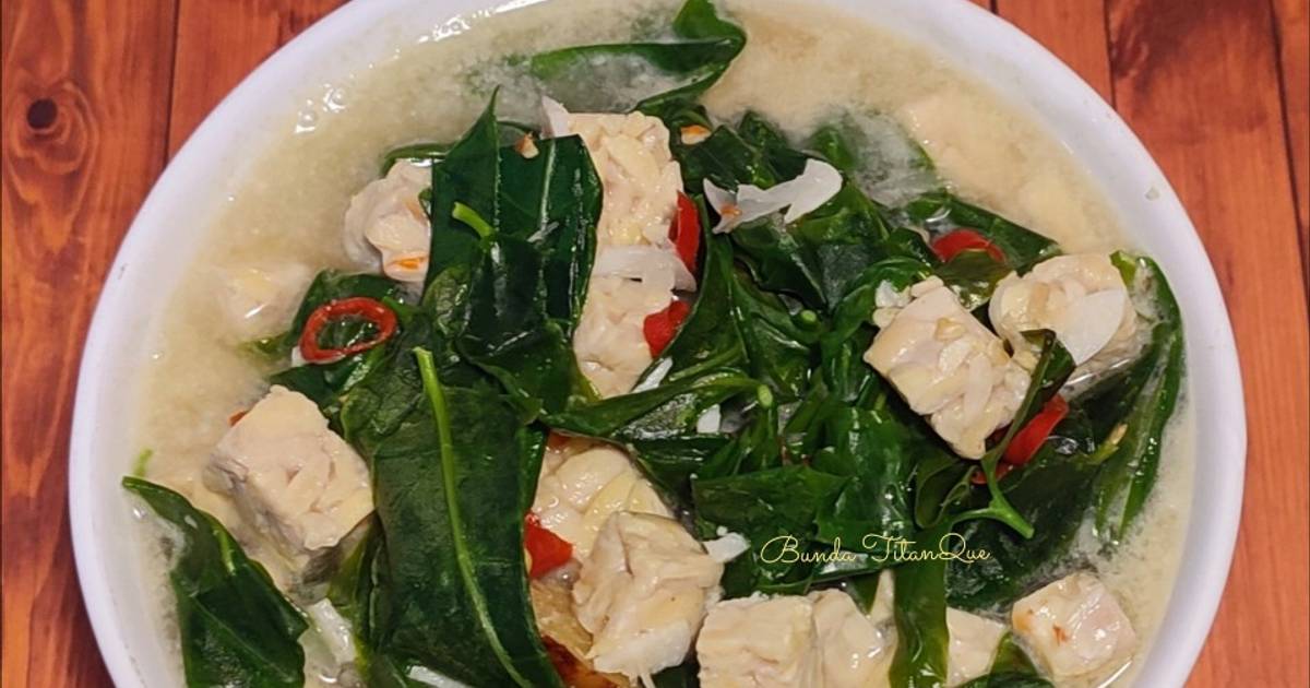 Resep Lodeh Tempe Daun Melinjo Oleh Bunda TitanQue Cookpad