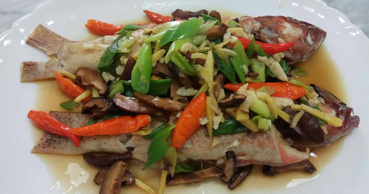 Resep Steam Kerapu Cantonesse Style Oleh Imelda Lim Cookpad