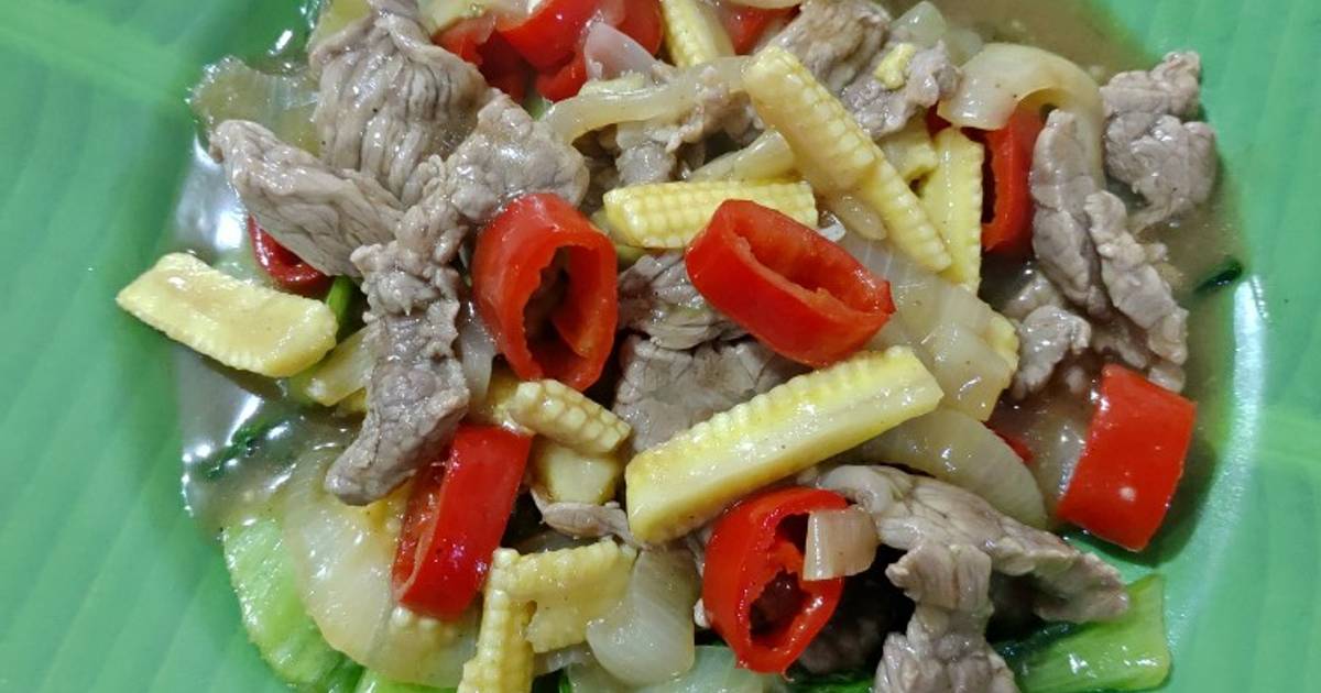 Resep Cah Daging Sayuran Oleh Ismirevi Cookpad