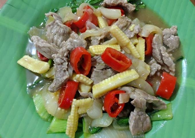 Resep Cah Daging Sayuran Oleh Ismirevi Cookpad