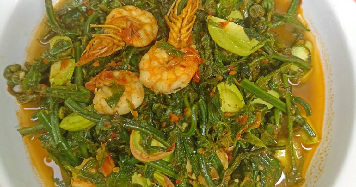 48 Resep Oseng Pakis Petai Enak Dan Mudah Cookpad