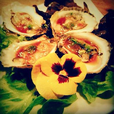 Raw Oysters With Ponzu Sauce Recipe By Tina Smith Cookpad