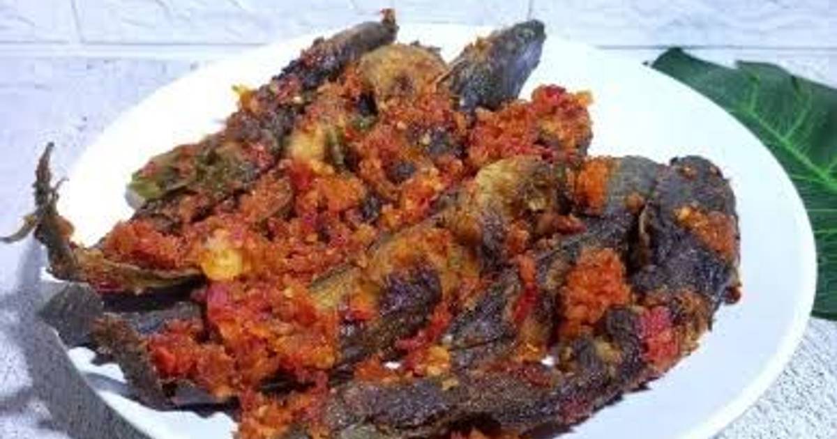 Resep Olahan Ikan Lele Aneka Hidangan Enak Gampang Dibuat Dan Sederhana