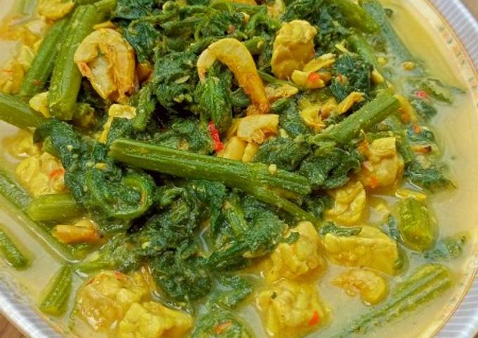 Resep Gulai Pucuk Labu oleh 𝗕𝘂𝗻𝗱𝗮 𝗞𝗶𝗿𝗮𝗻𝗮 Cookpad