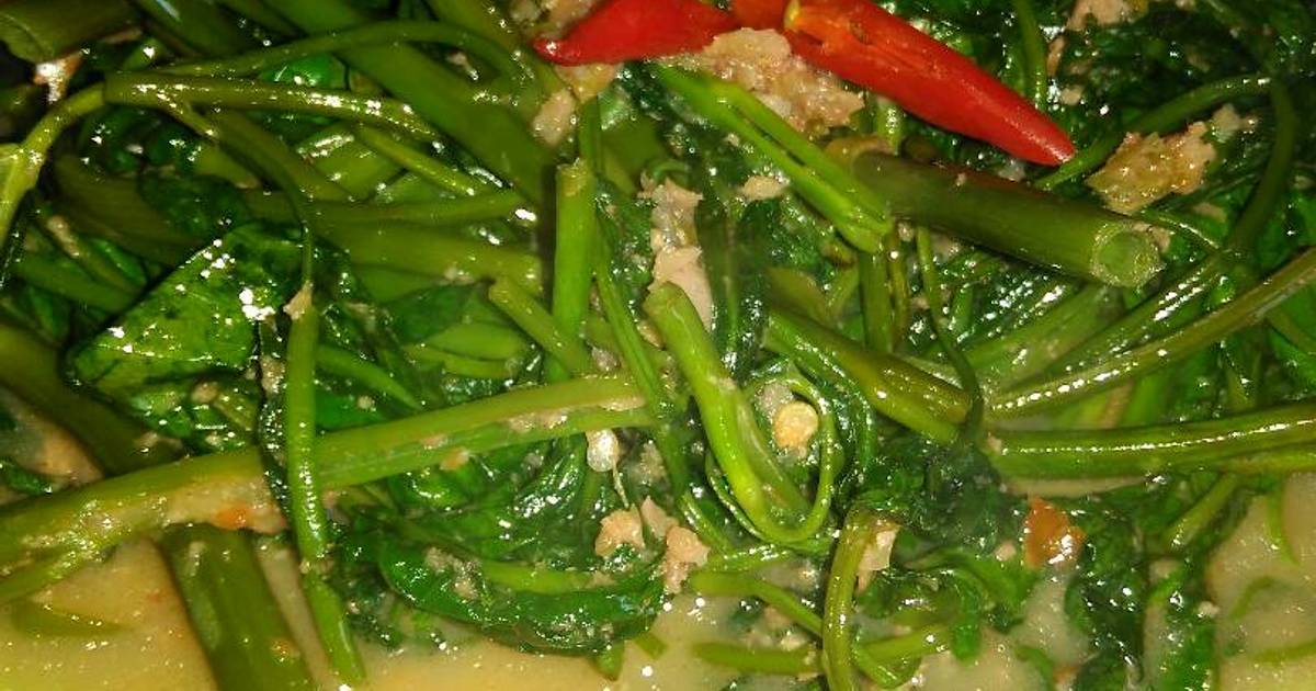 Resep Tumis Kangkung Pedas Kencur Enak Dan Mudah Cookpad