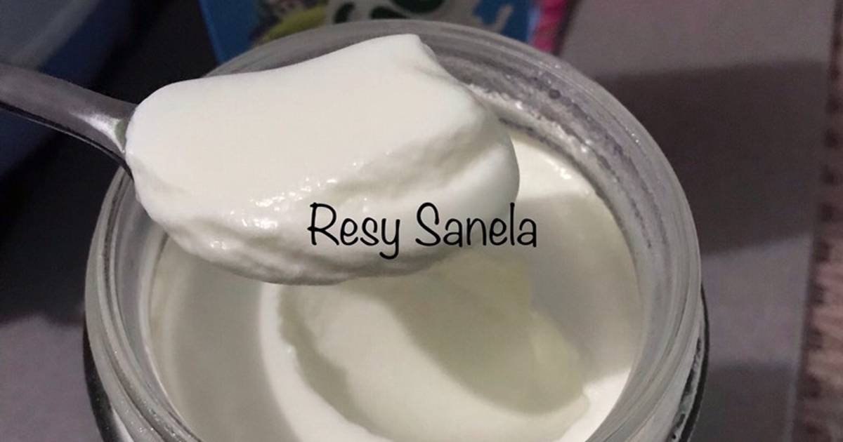 Resep Plain Yogurt Homemade Oleh Resy Sanela Cookpad