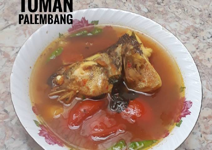 Resep Pindang Ikan Toman Palembang Oleh Mey S Cila Cookpad