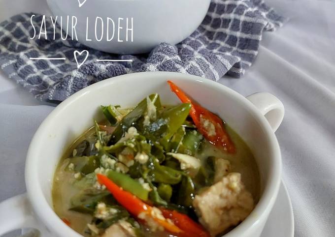 Resep Sayur Lodeh Oleh Endang Pratiwi Cookpad