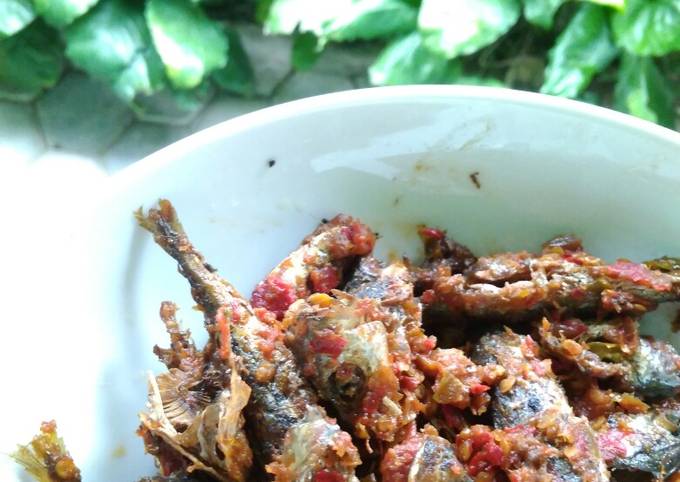 Resep Sambal Ikan Baby Dencis Oleh Miss Kyky Cookpad