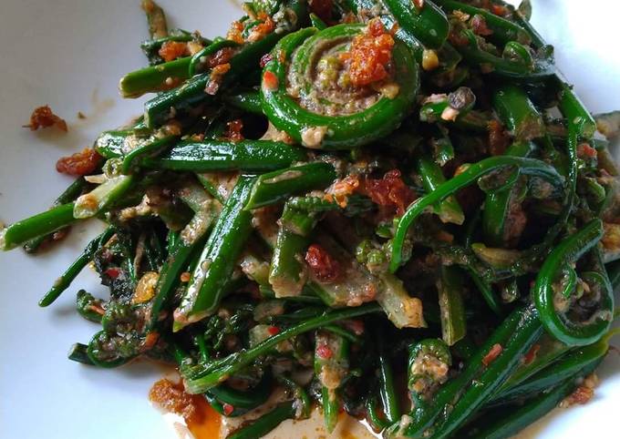 Resep Sayur Paku Santan Oleh Kembariani Kembar Ni Made Cookpad