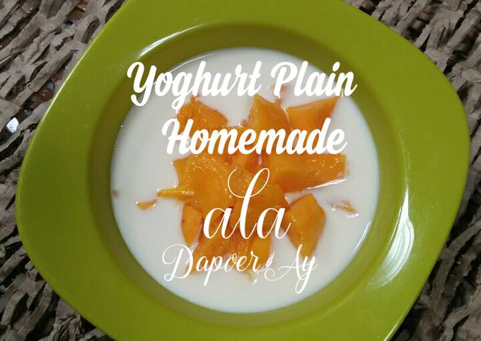 Resep Yoghurt Plain Homemade Oleh Dapoer Aye Ani Cookpad