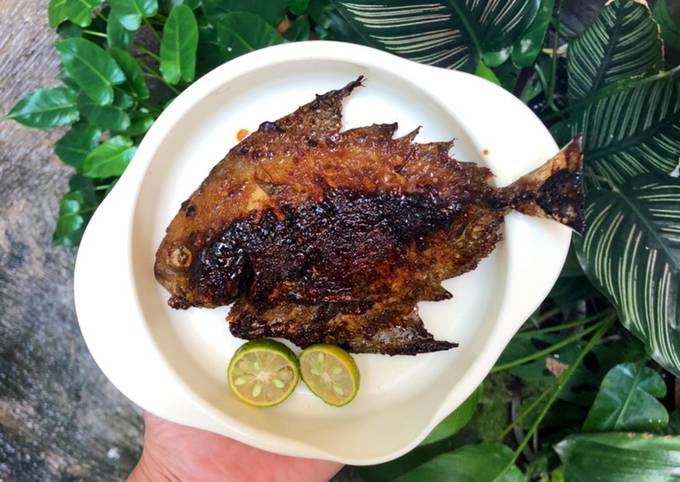 Resep Ikan Bawal Goreng Bakar Oleh Ika Febriana Cookpad