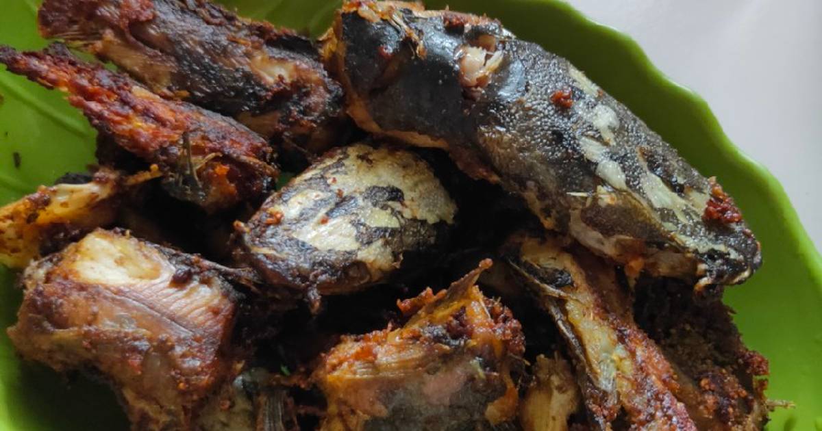 Resep Lele Goreng Simpel Sesimpel Simpelnya Oleh Bun DaMec Cookpad