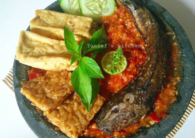 Resep Lele Penyet Sambal Tomat Trasi Oleh Yunif S Kitchen Cookpad