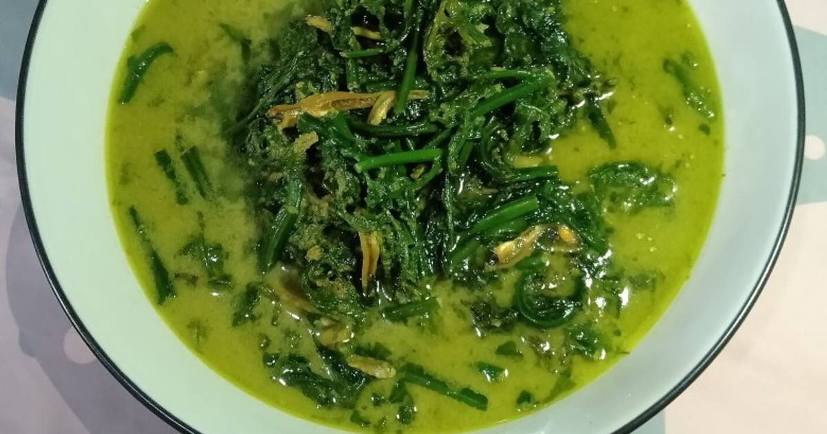 Resep Gulai Pakis Teri Oleh Sjanah Cookpad