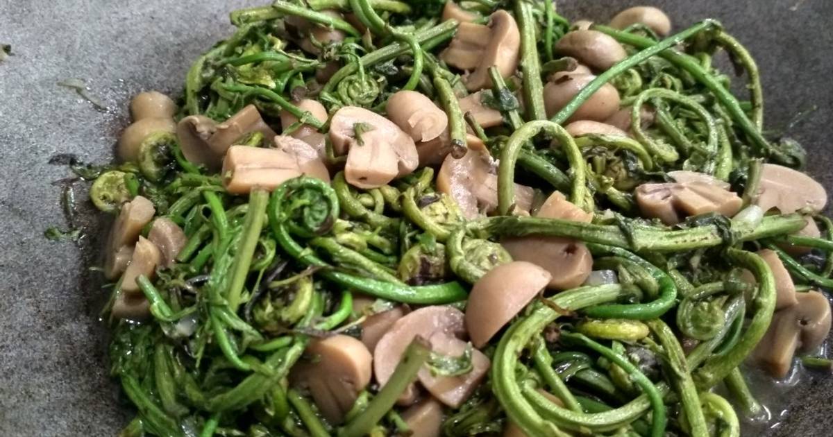 Resep Tumis Pakis Uban Enak Dan Mudah Cookpad