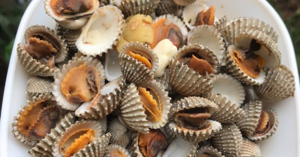 Resep Kerang Dara Rebus Oleh Lintang Agus Riana N Cookpad