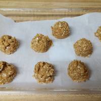 No bake peanut butter & oat dog treats