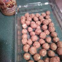 No bake peanut butter & oat dog treats