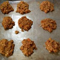 No bake peanut butter & oat dog treats