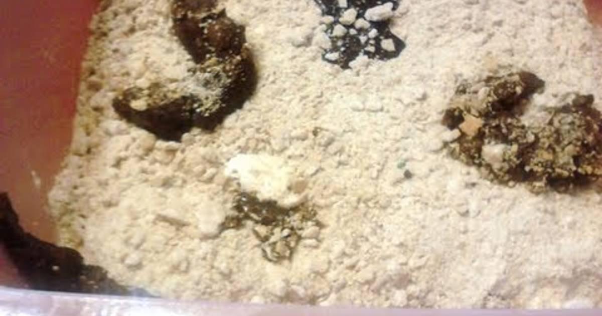 Kitty Litter Cake halloween Recipe by renee Cookpad