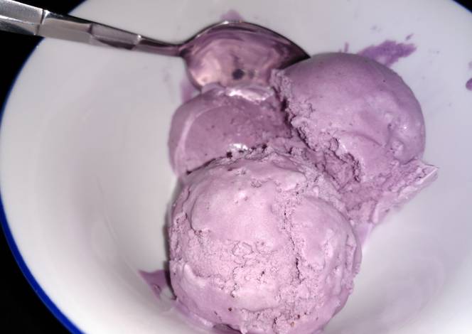 Resep Blueberry Ice Cream