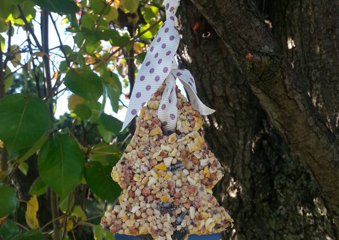 Resep " Bird Feed Ornaments. " Resep " Bird Feed Ornaments. "