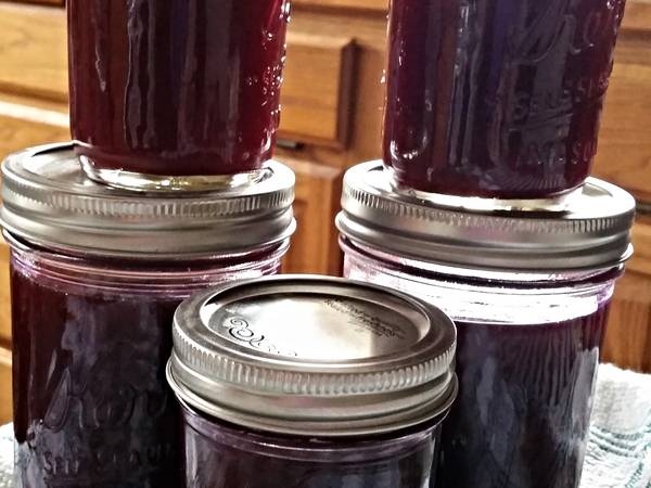 Tinklee's Huckleberry shine