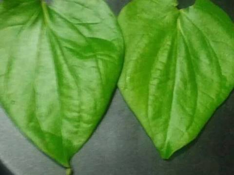 @Divyanshi's cookbook, Homemade Paan chocolates recipe step 3 photo