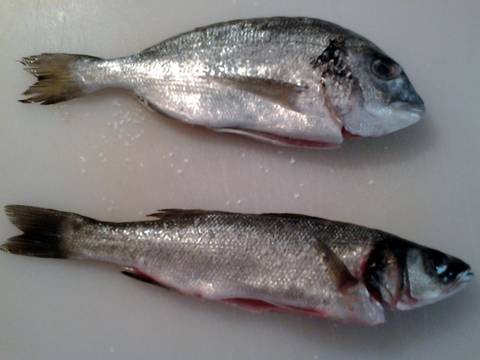 Fried Sea Bream And Sea Bass Recipe By Gio86ta Cookpad