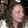samantha.cornelison samantha.cornelison