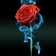 AngelofDeath AngelofDeath