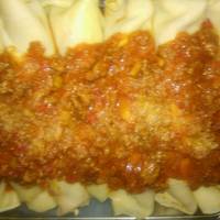 Relleno De Canelones De Acelga Y Picadillo 32 Recetas