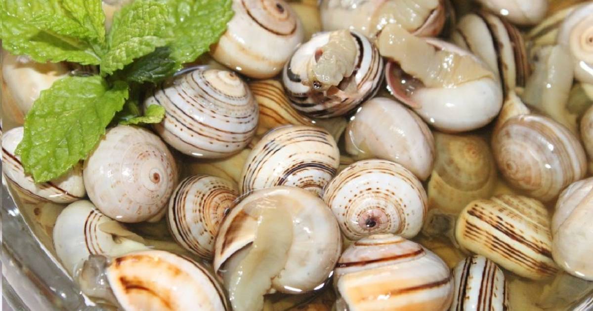 Recetas de caracoles - 167 recetas - Cookpad