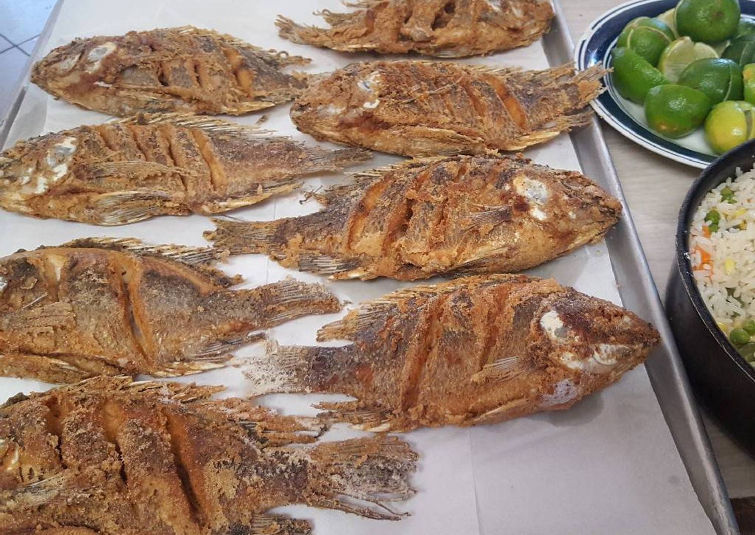 Mojarra Tilapia Empanizada y Frita en el Disco Receta de Cocina más Con
