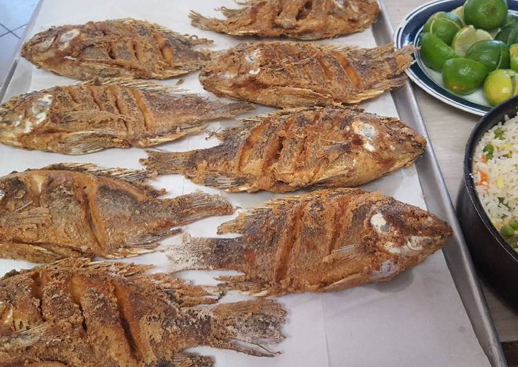Mojarra Tilapia Empanizada y Frita en el Disco Receta de Cocina más Con
