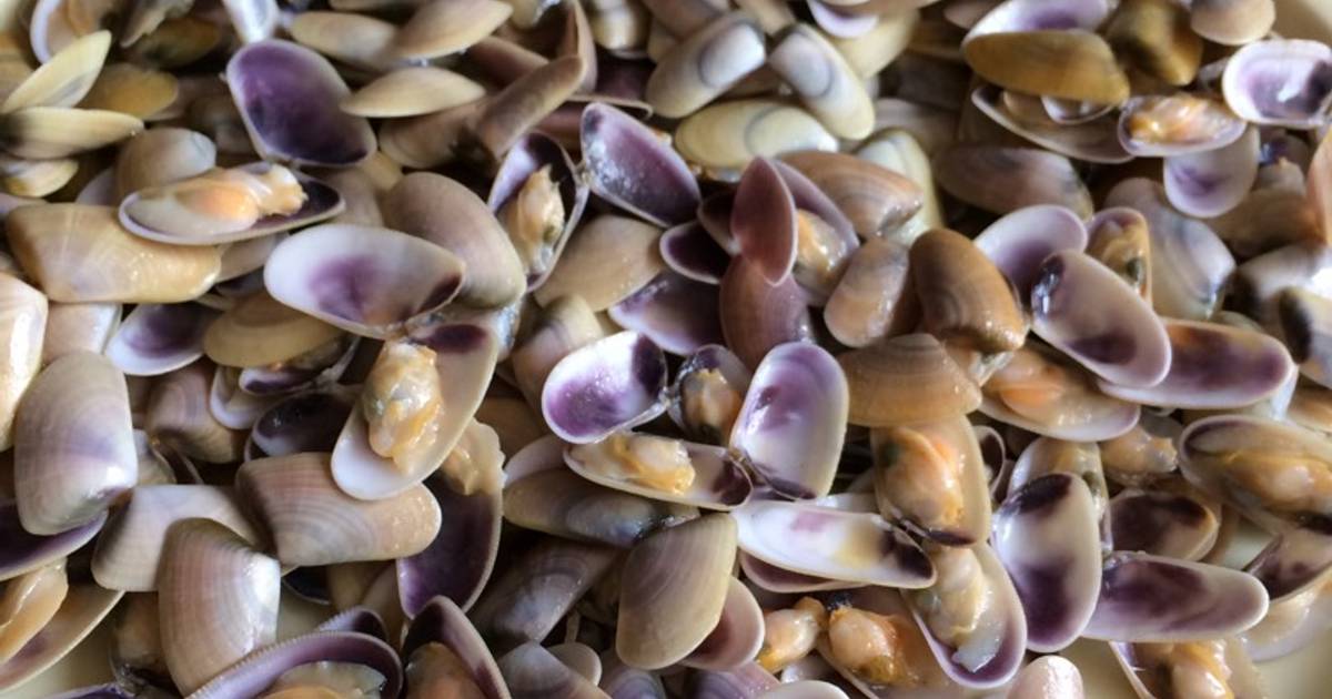 Tellina 7 recetas caseras Cookpad