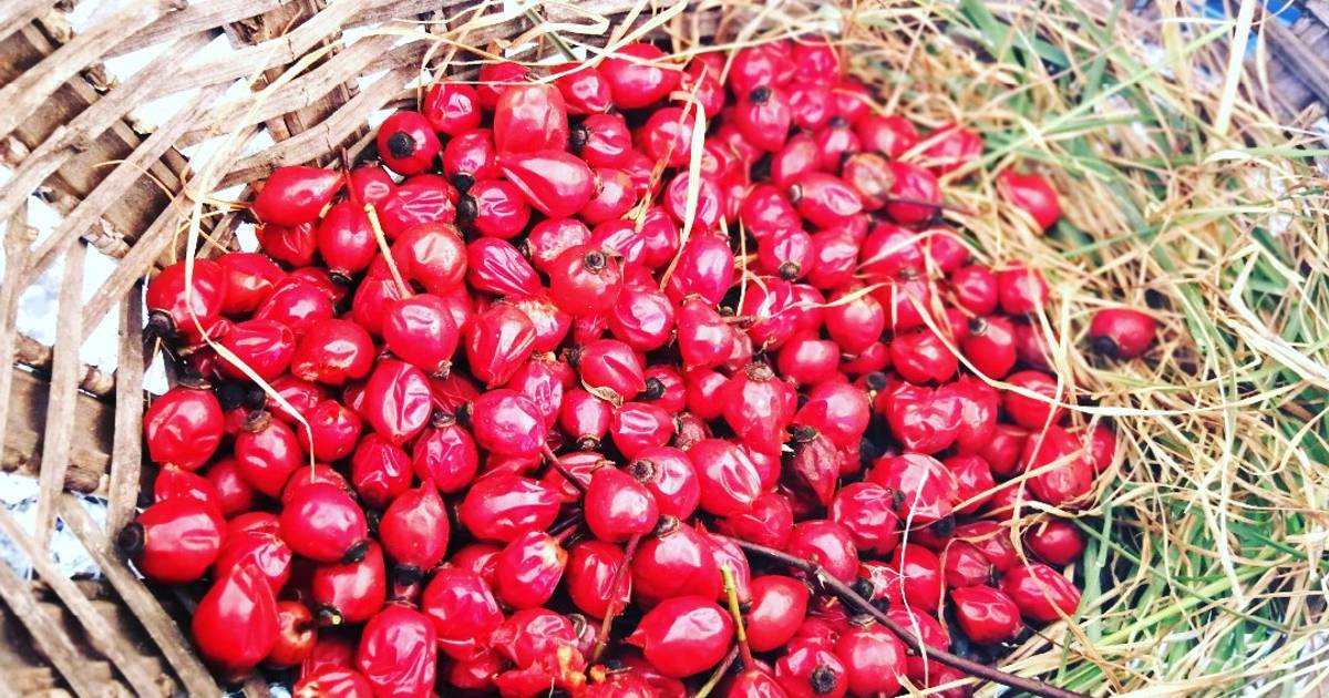 Bayas 227 recetas caseras Cookpad