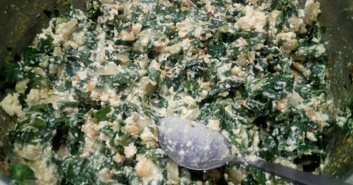 10 Mejores Imgenes De Canelones De Acelga En 2020