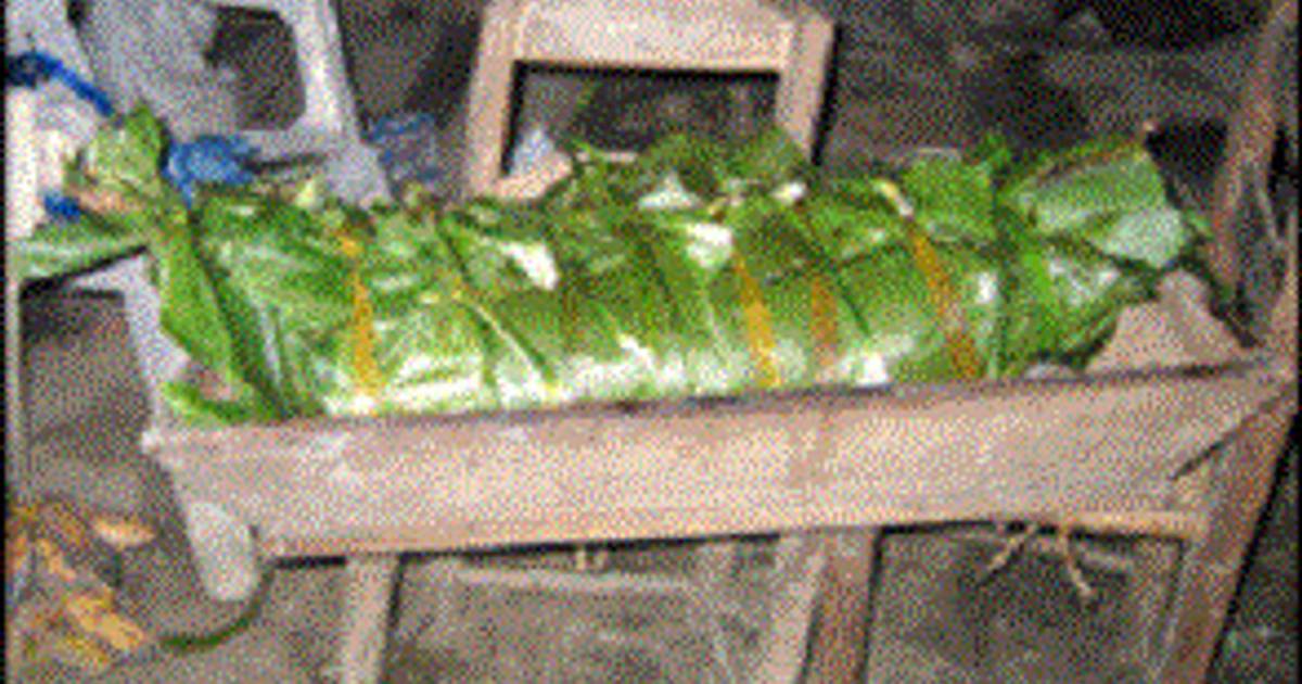 Zacahuil Receta de maria isabel Cookpad