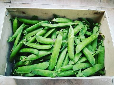 Foto del paso 1 de la receta Guisantes de la huerta en salsa a la menta