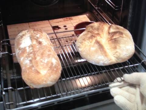 Madre Masa Casero Pan Con